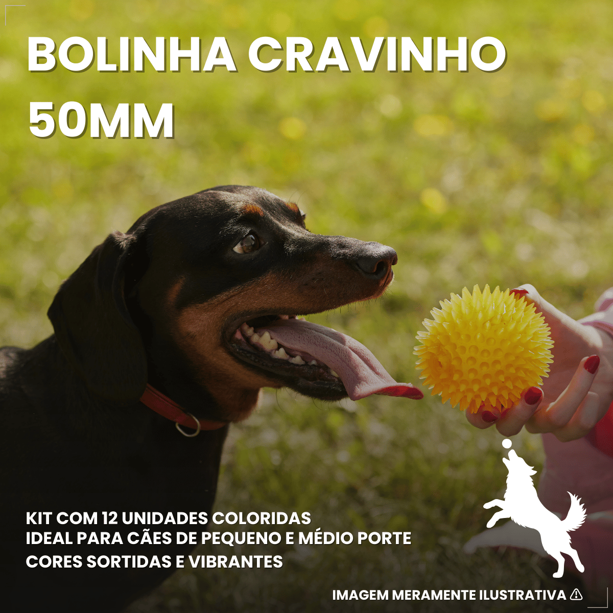 Pacote Bolinha Cravinho Para Cães C/12 - Cores Sortidas 50mm