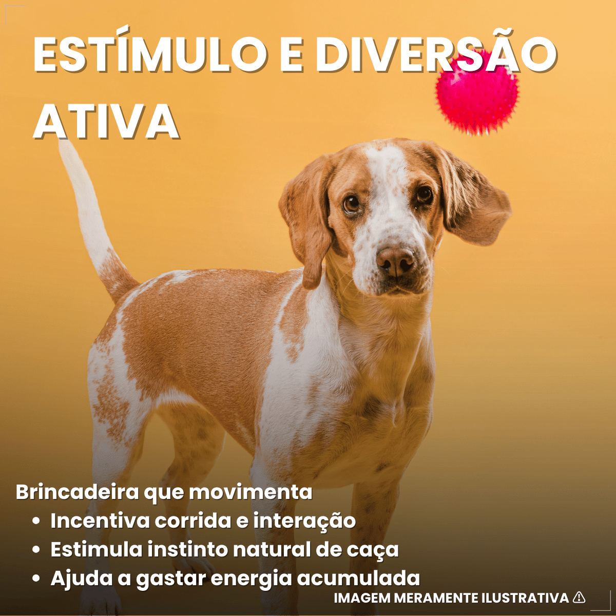 Pacote Bolinha Cravinho Para Cães C/12 - Cores Sortidas 50mm