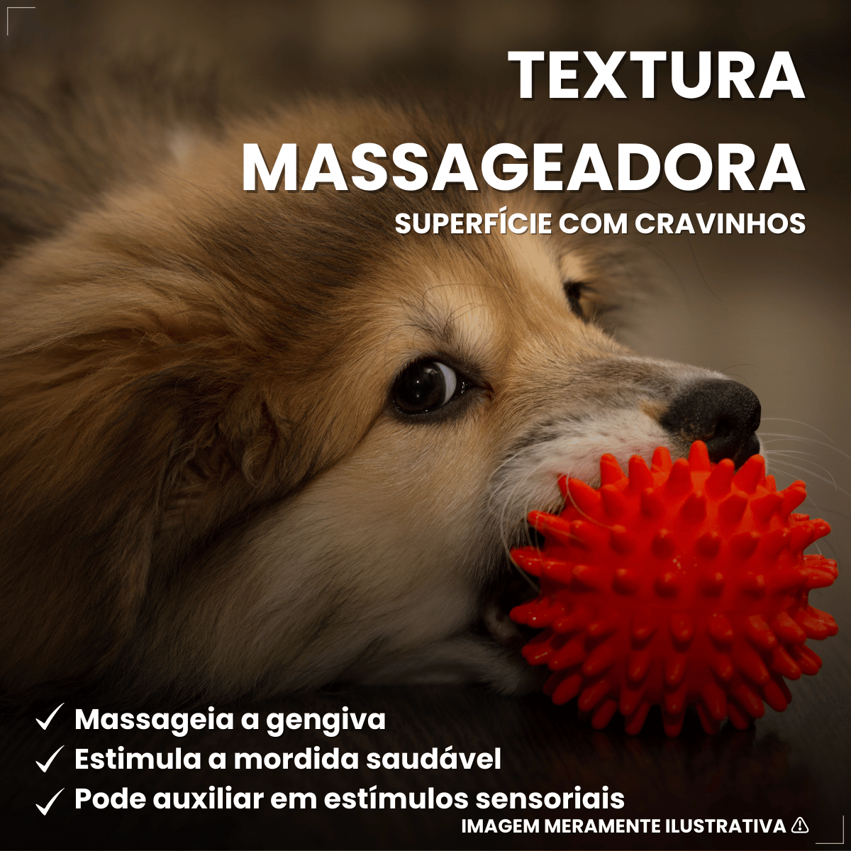 Pacote Bolinha Cravinho Para Cães C/12 - Cores Sortidas 50mm