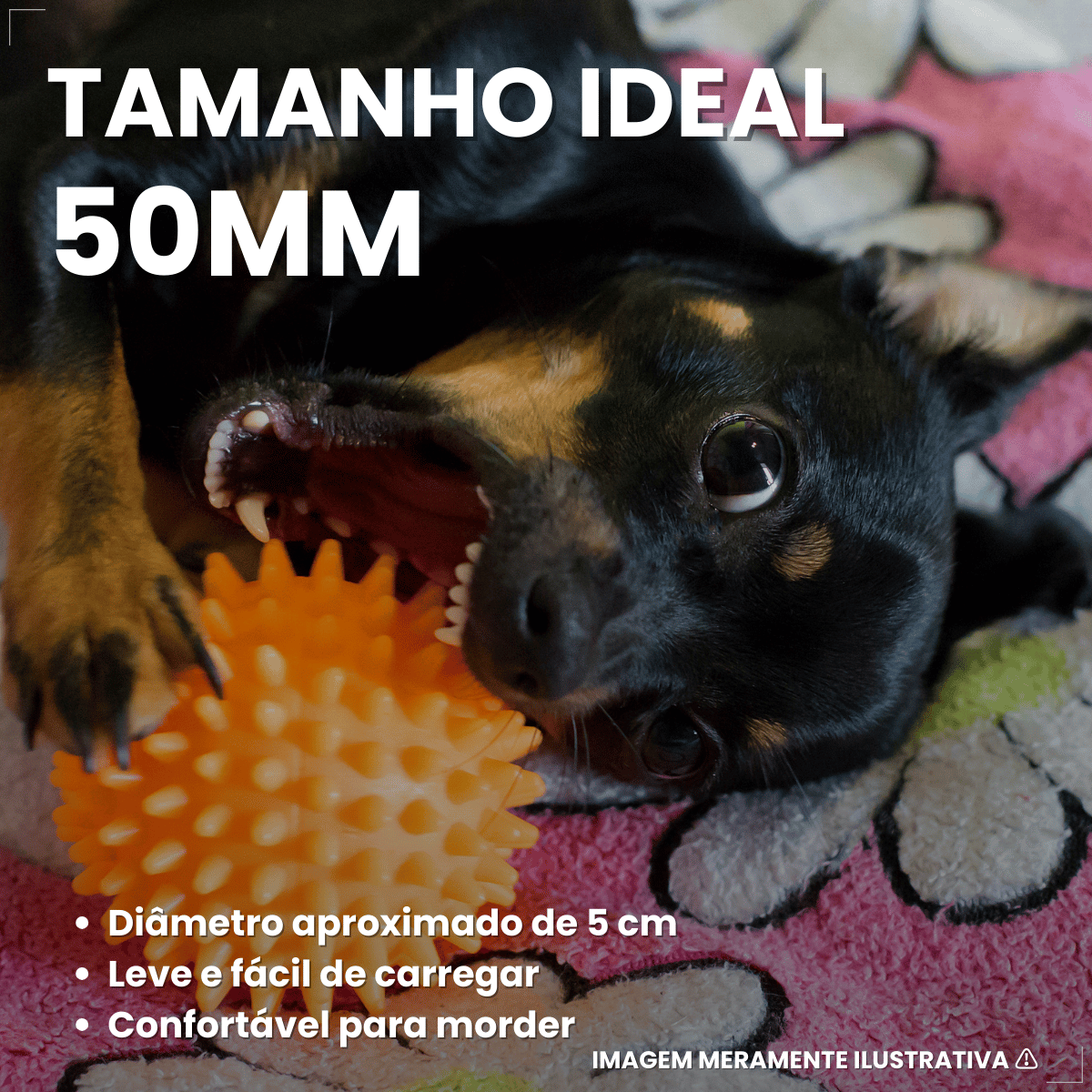 Pacote Bolinha Cravinho Para Cães C/12 - Cores Sortidas 50mm