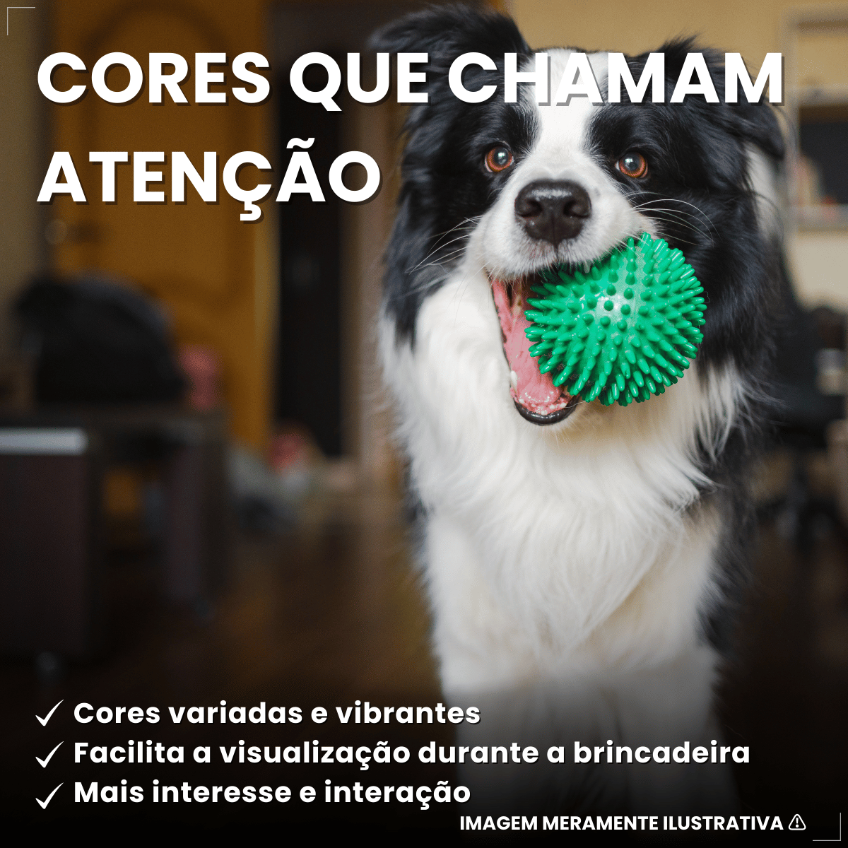 Pacote Bolinha Cravinho Para Cães C/12 - Cores Sortidas 50mm