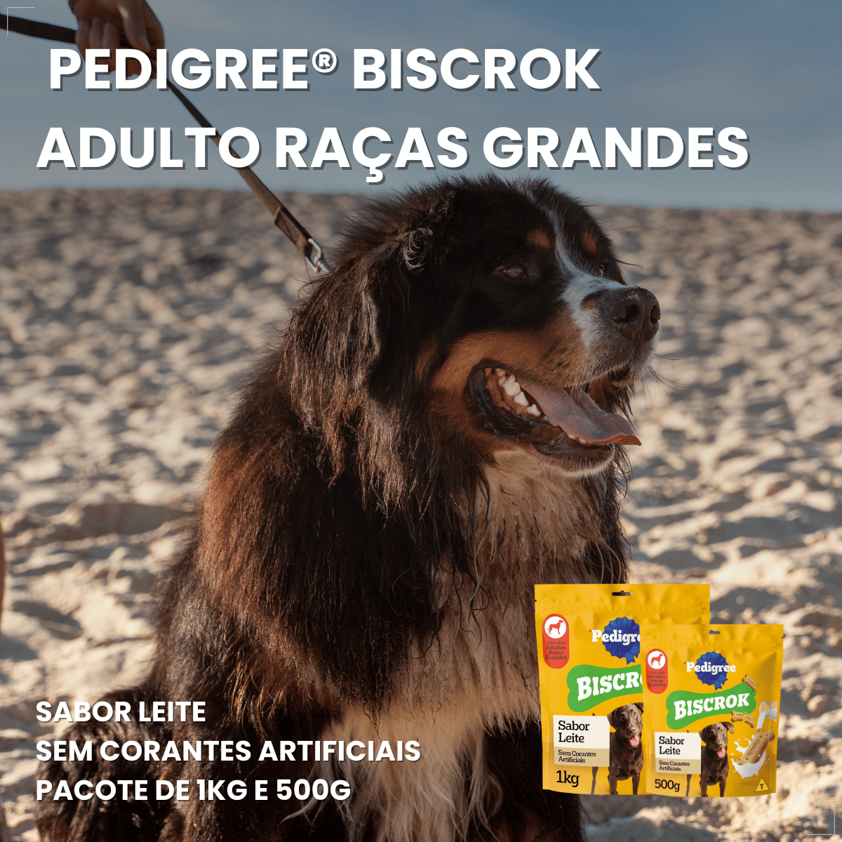 Biscoito Pedigree Biscrok para Cães Adultos de Raças Grandes