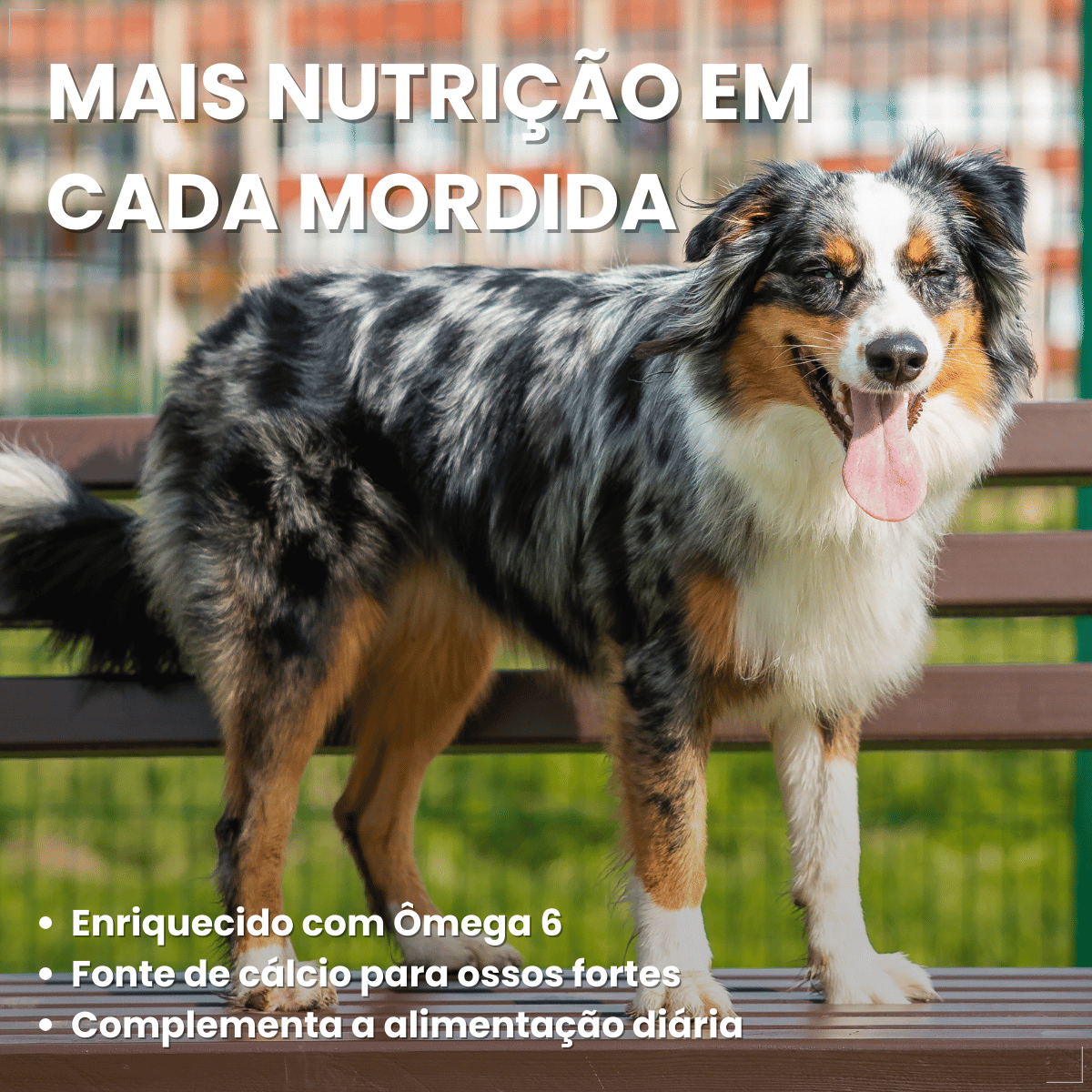 Biscoito Pedigree Biscrok para Cães Adultos de Raças Grandes