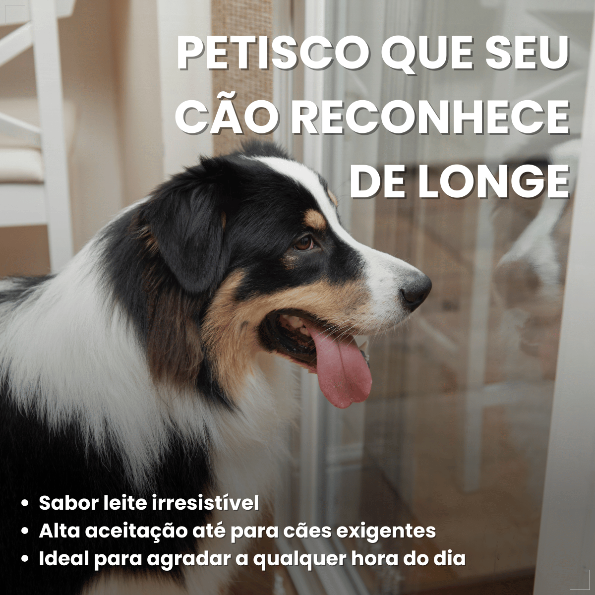 Biscoito Pedigree Biscrok para Cães Adultos de Raças Grandes