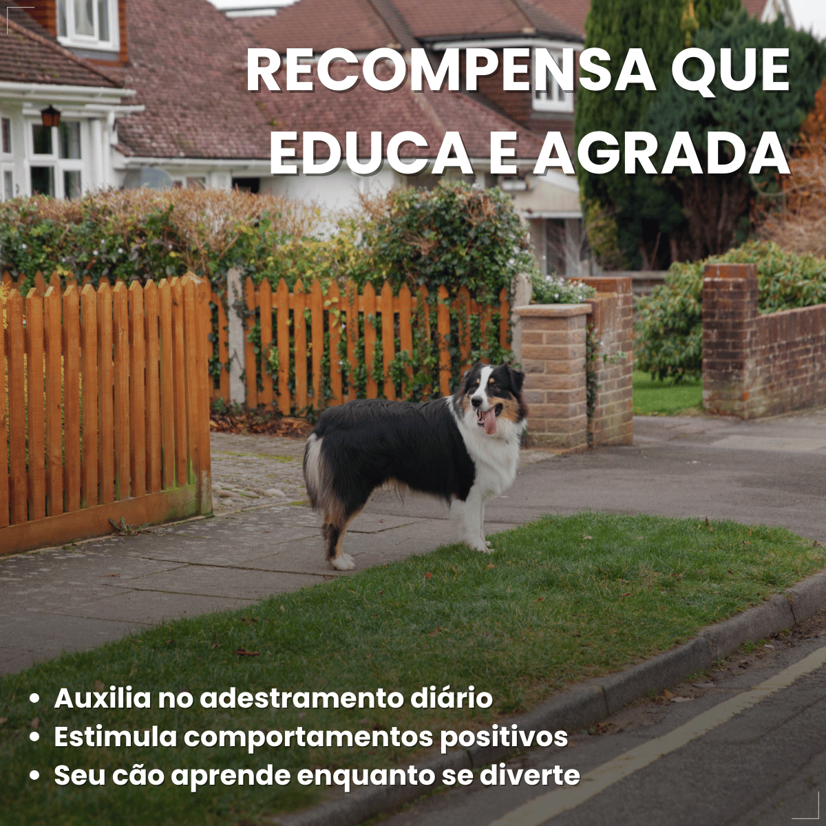 Biscoito Pedigree Biscrok para Cães Adultos de Raças Grandes