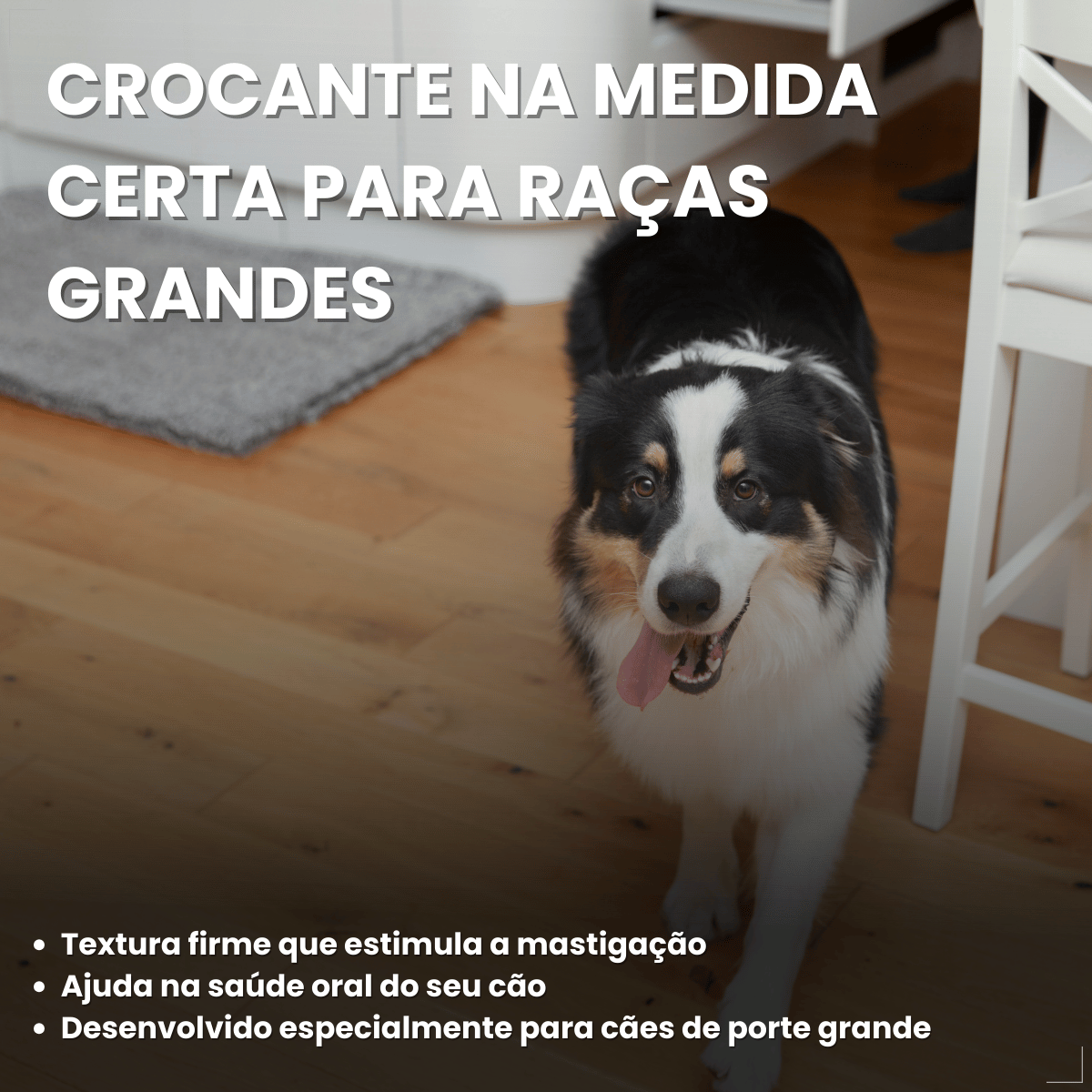 Biscoito Pedigree Biscrok para Cães Adultos de Raças Grandes