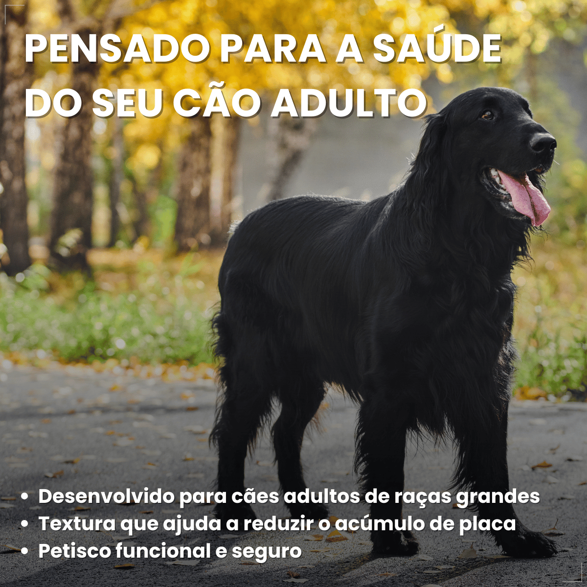 Biscoito Pedigree Biscrok para Cães Adultos de Raças Grandes