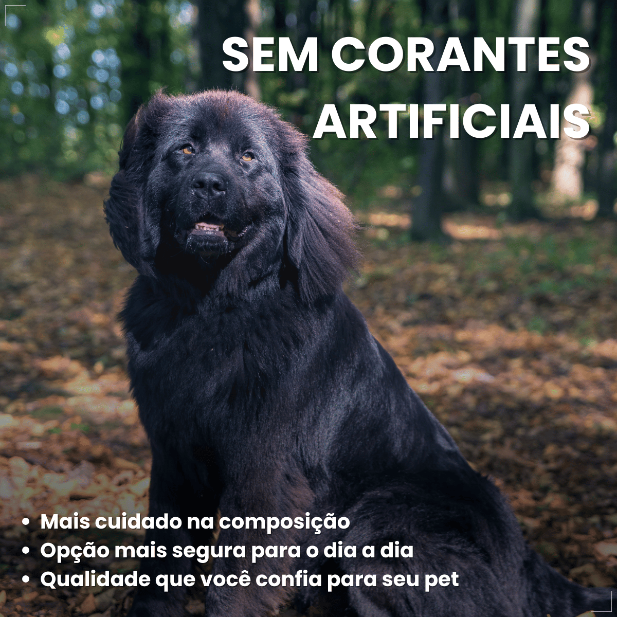 Biscoito Pedigree Biscrok para Cães Adultos de Raças Grandes