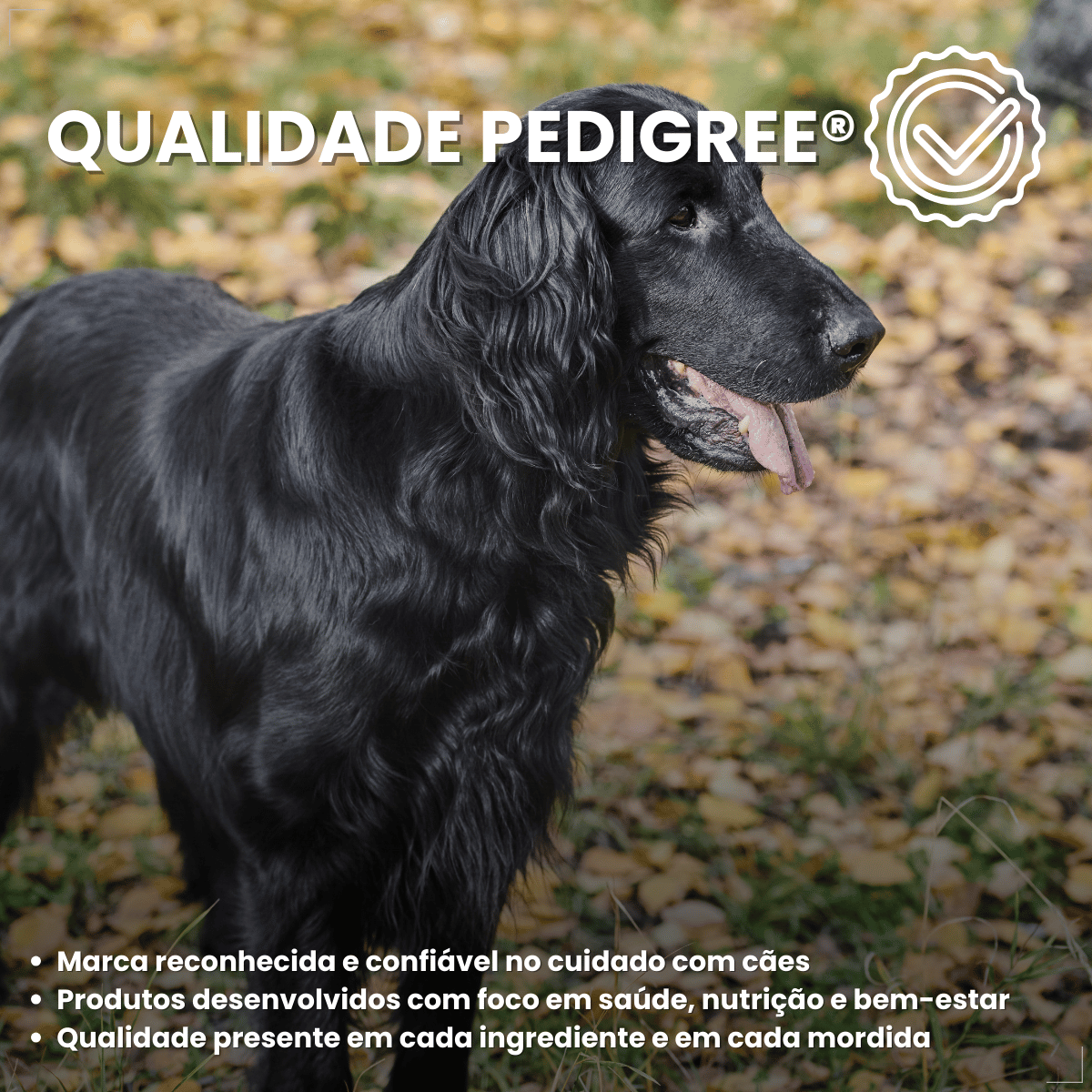 Biscoito Pedigree Biscrok para Cães Adultos de Raças Grandes