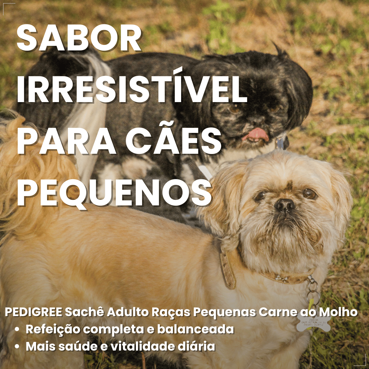 Kit 18 Ração Úmida Pedigree Carne Cães Adultos Pequenos 100g