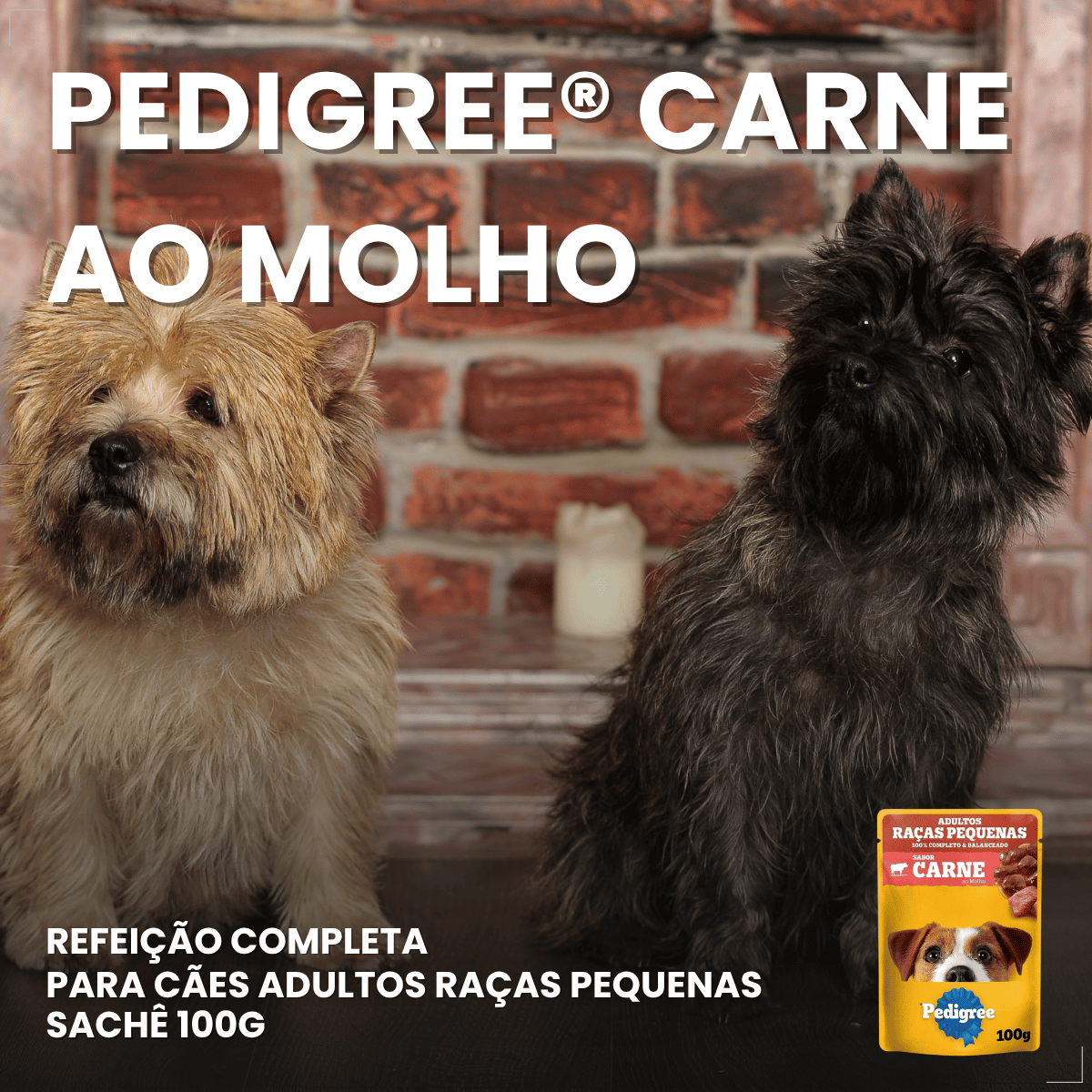 Kit 18 Ração Úmida Pedigree Carne Cães Adultos Pequenos 100g