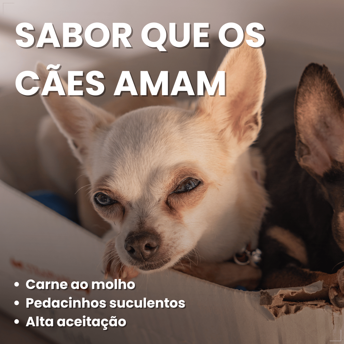 Kit 18 Ração Úmida Pedigree Carne Cães Adultos Pequenos 100g