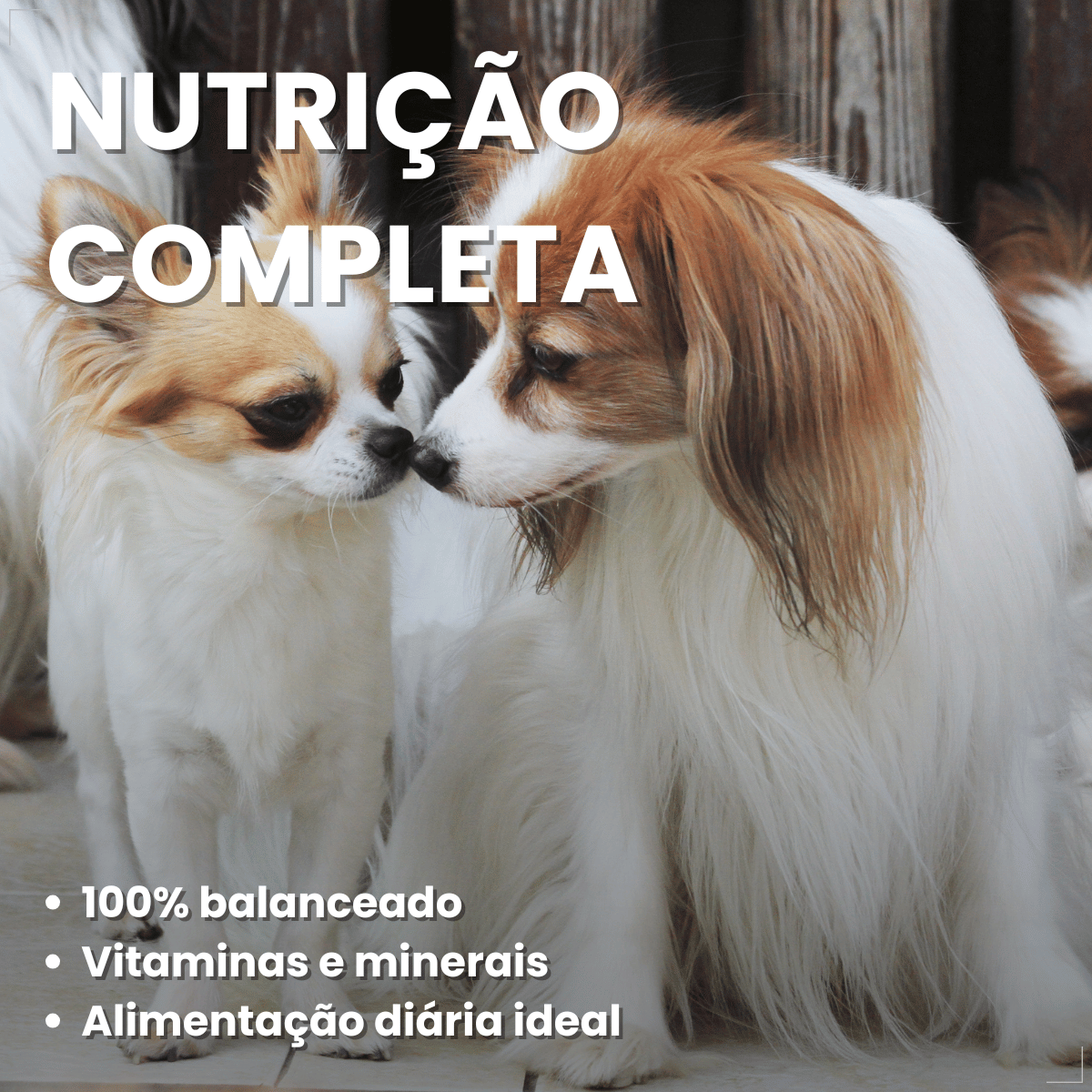 Kit 18 Ração Úmida Pedigree Carne Cães Adultos Pequenos 100g