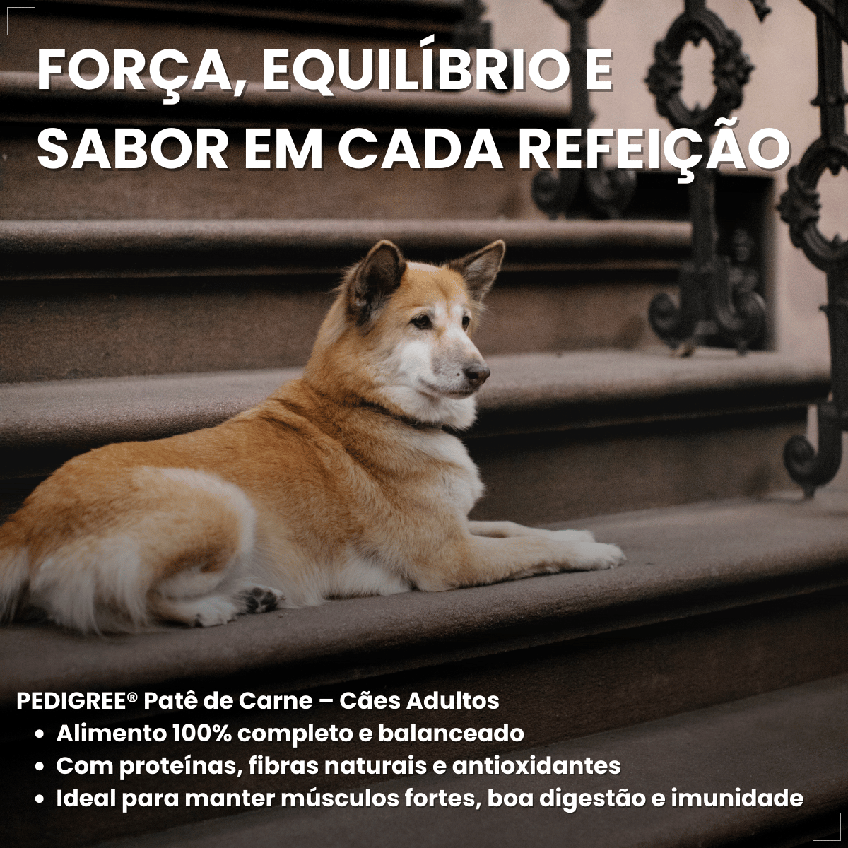 Ração Úmida em Lata Pedrigree Cães 280g