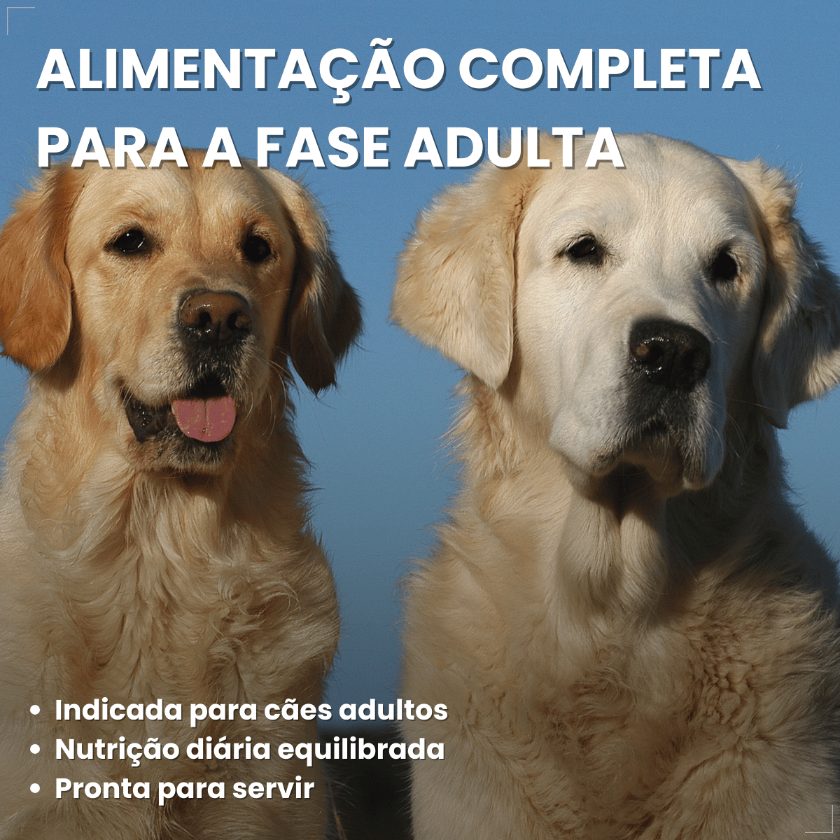 Ração Úmida em Lata Pedrigree Cães 280g