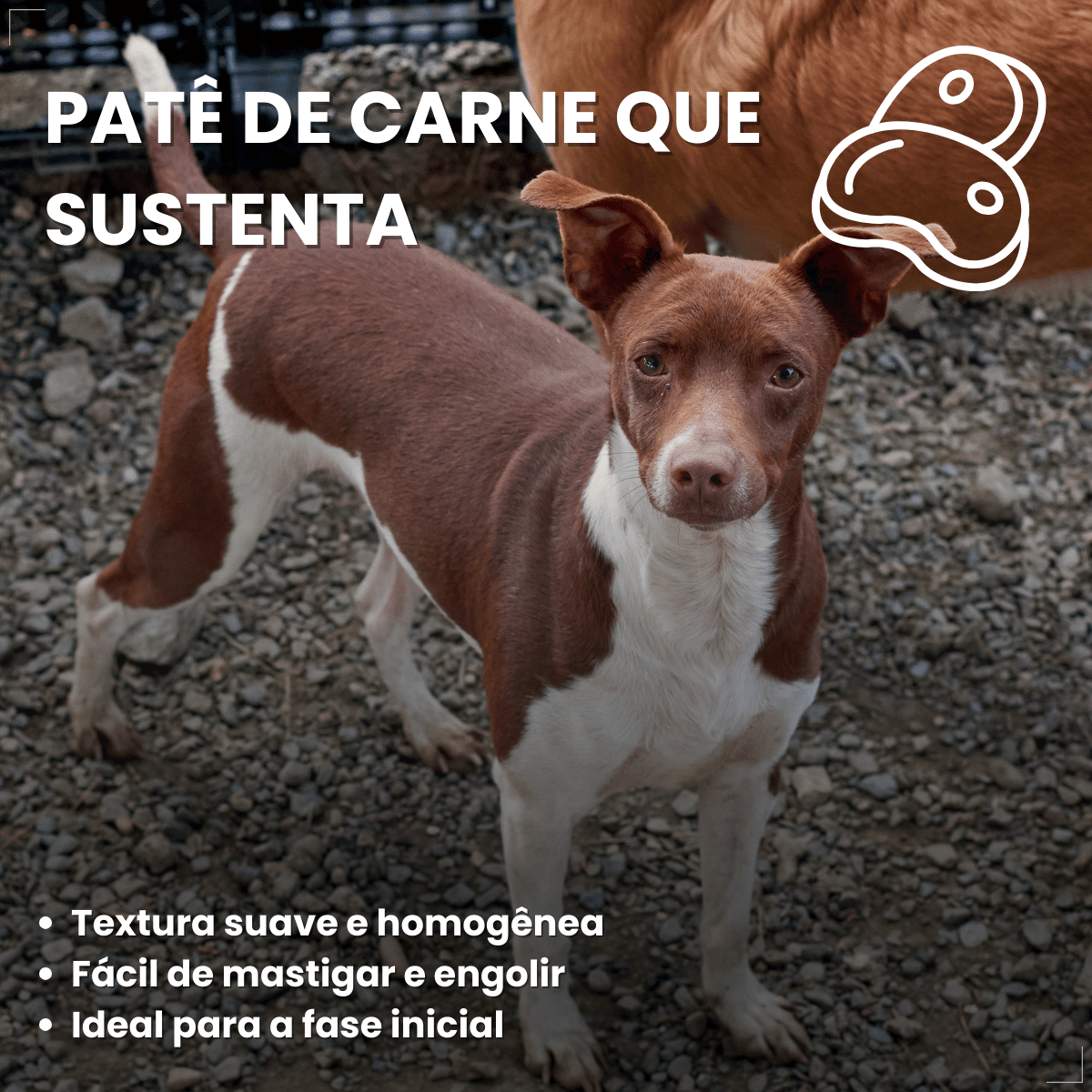 Ração Úmida em Lata Pedrigree Cães 280g