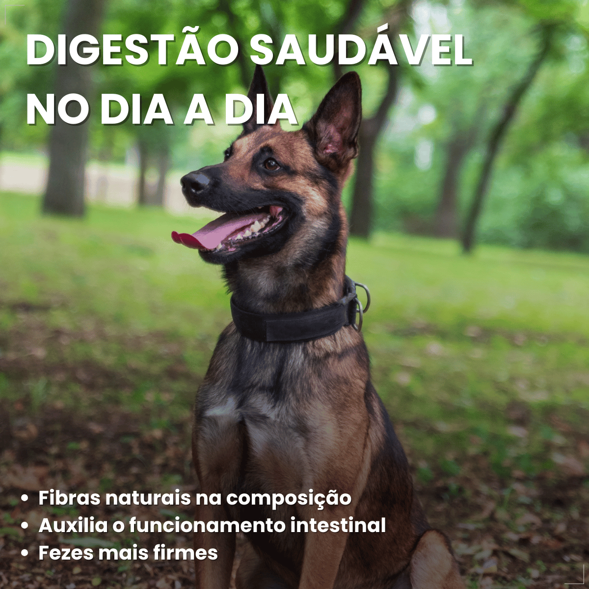 Ração Úmida em Lata Pedrigree Cães 280g