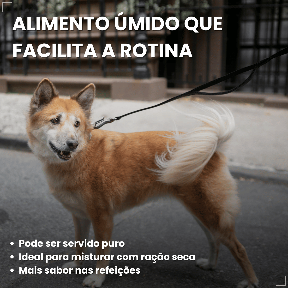 Ração Úmida em Lata Pedrigree Cães 280g