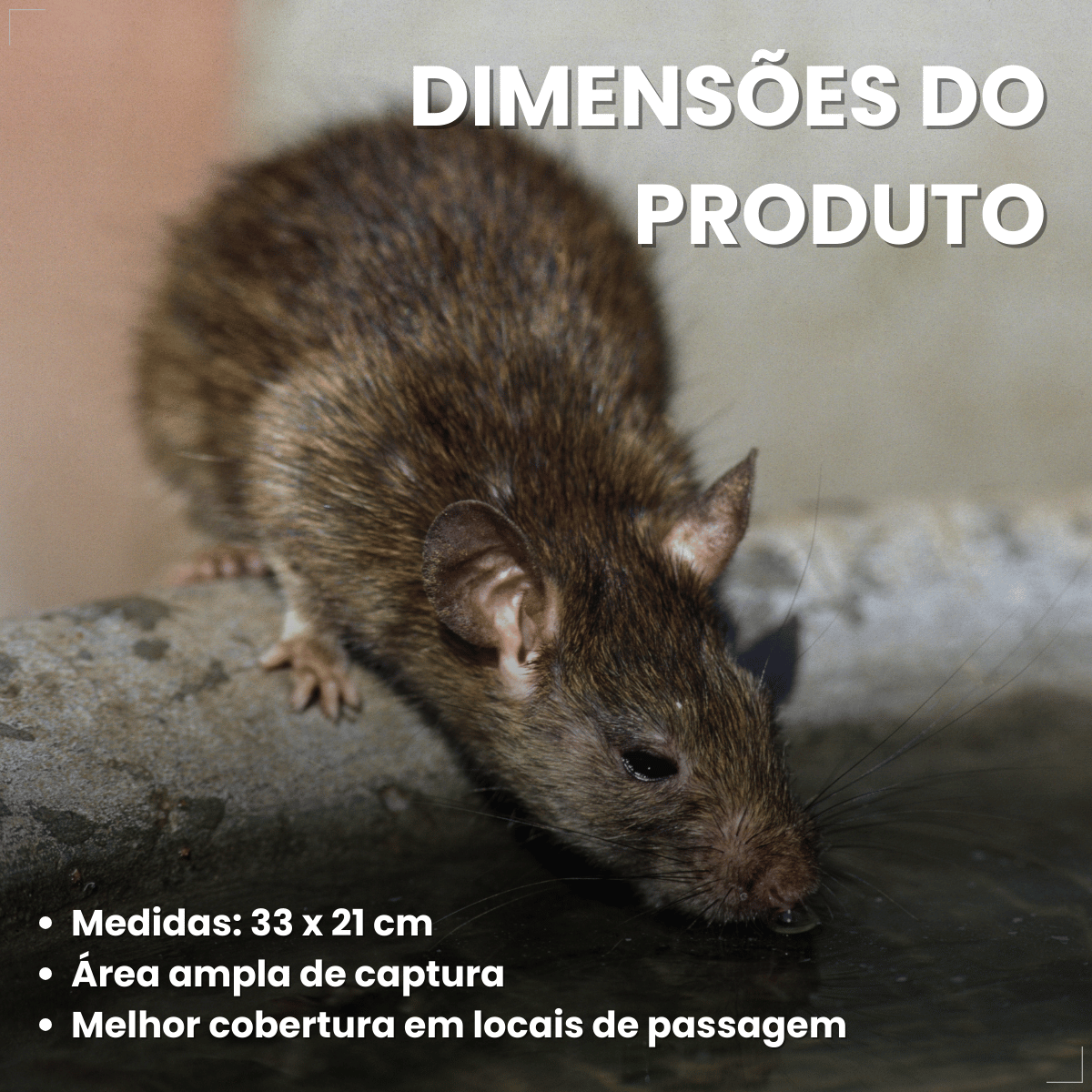 Kit 2 Ratoeira Adesiva Cola Pega Rato Atrativo Citromax