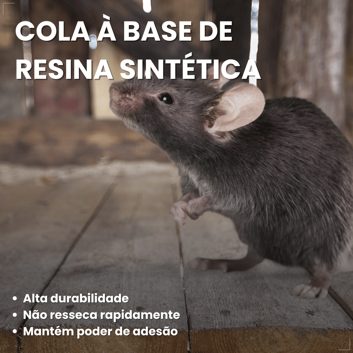 Kit 2 Ratoeira Adesiva Cola Pega Rato Atrativo Citromax