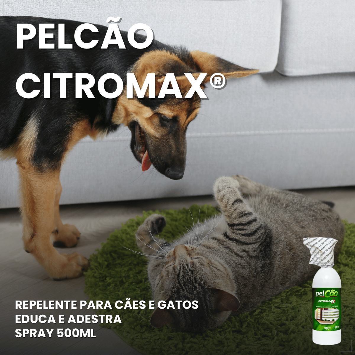 Pelcão Citromax Educa e Adestra Cães e Gatos 500 ml