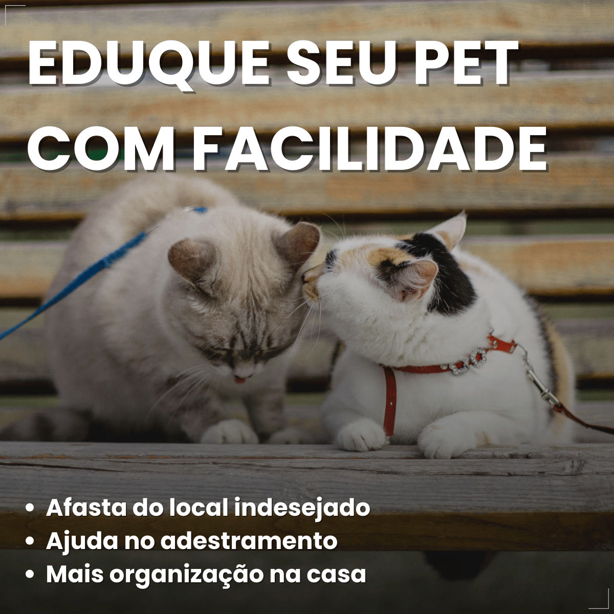 Pelcão Citromax Educa e Adestra Cães e Gatos 500 ml