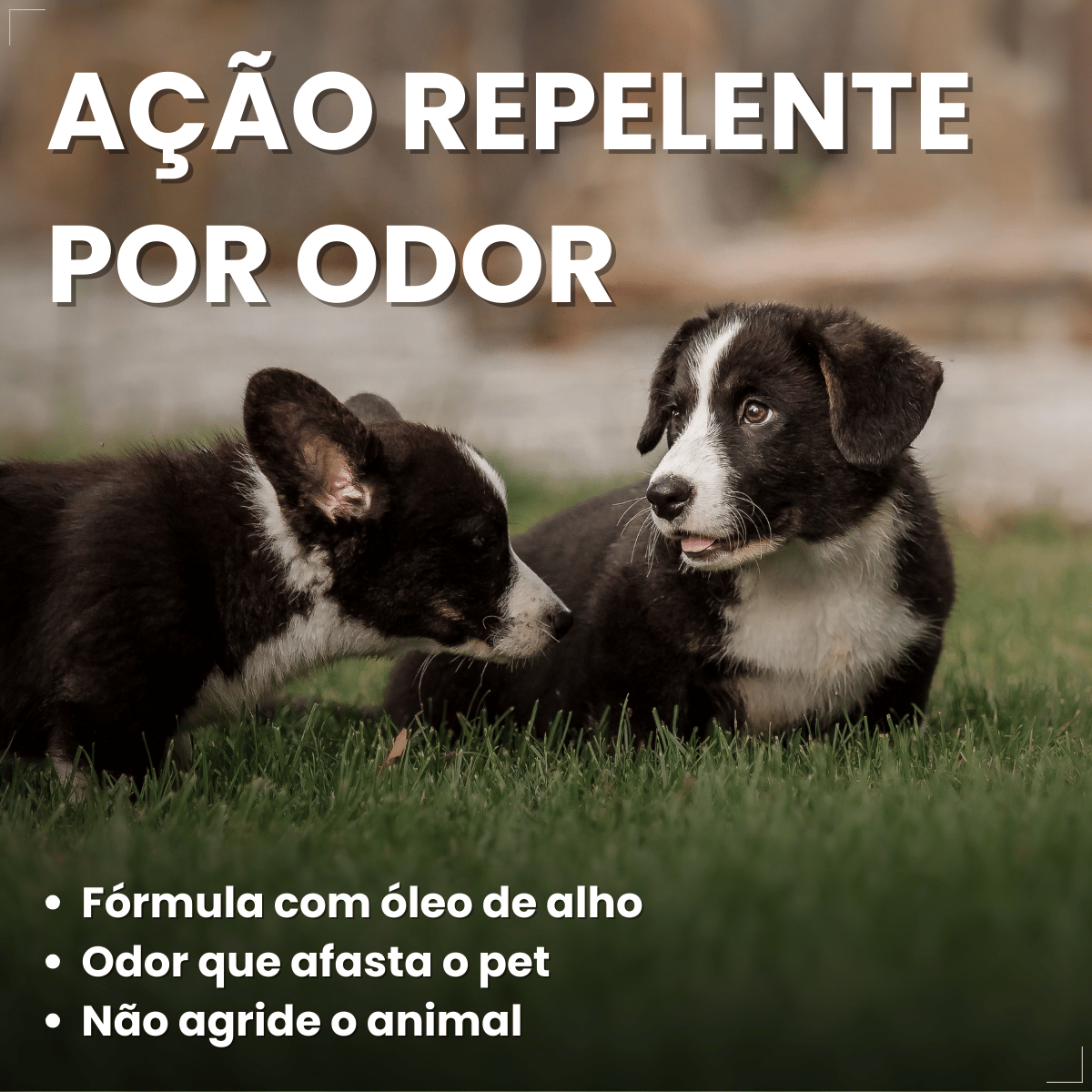 Pelcão Citromax Educa e Adestra Cães e Gatos 500 ml