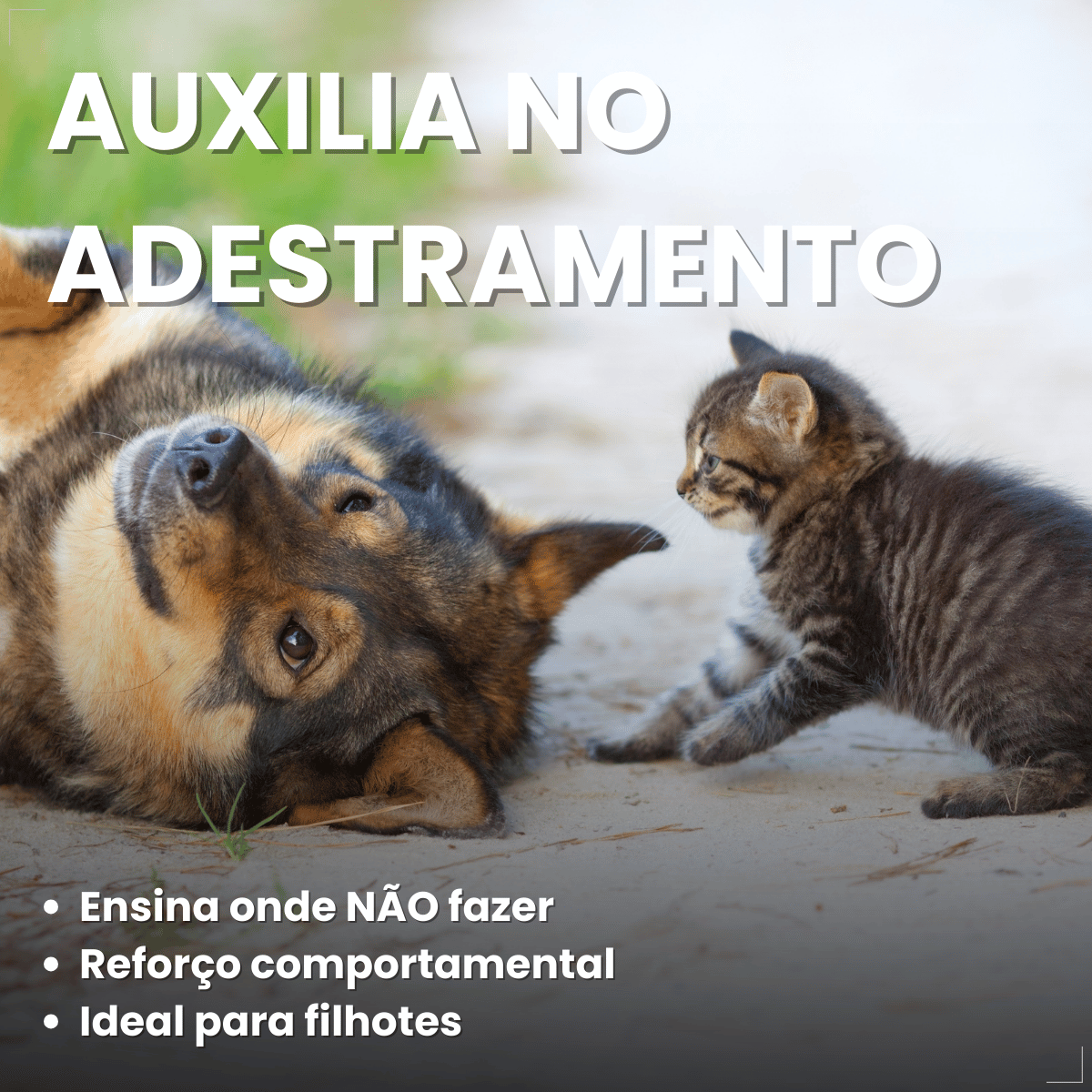 Pelcão Citromax Educa e Adestra Cães e Gatos 500 ml