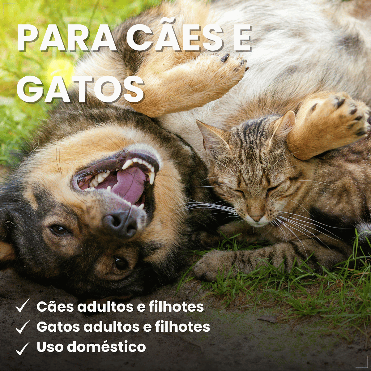 Pelcão Citromax Educa e Adestra Cães e Gatos 500 ml