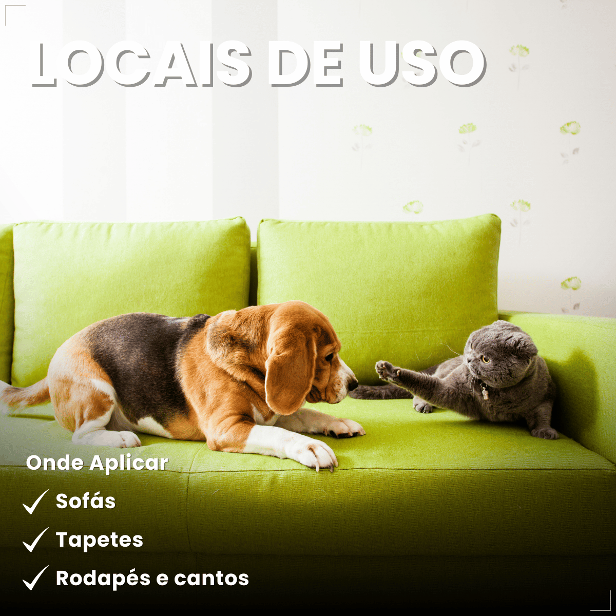 Pelcão Citromax Educa e Adestra Cães e Gatos 500 ml
