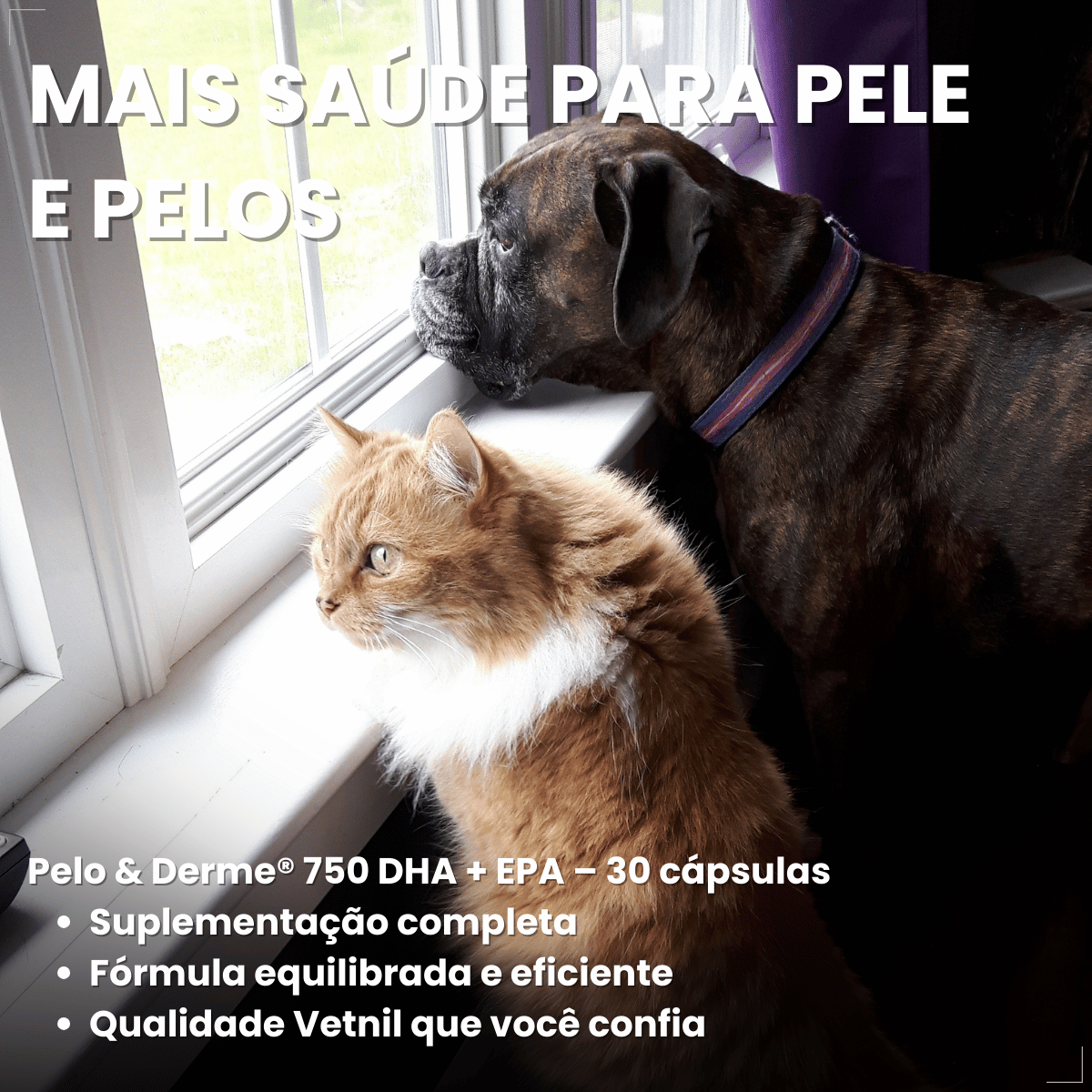 Suplemento Pelo e Derme 750 DHA + EPA Vetnil 30 Cápsulas