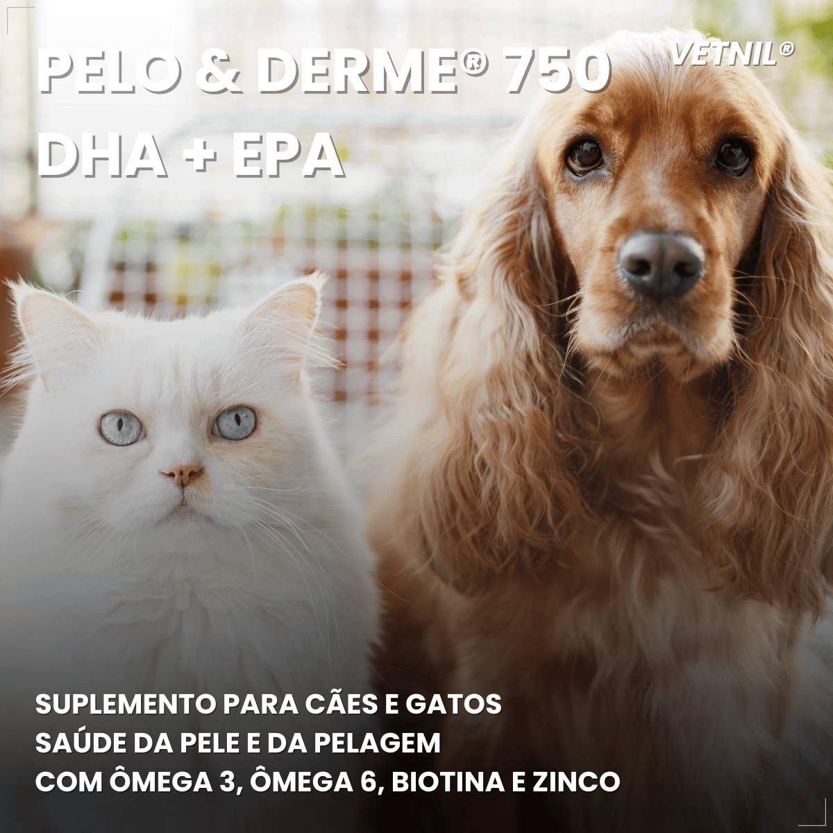 Suplemento Pelo e Derme 750 DHA + EPA Vetnil 30 Cápsulas