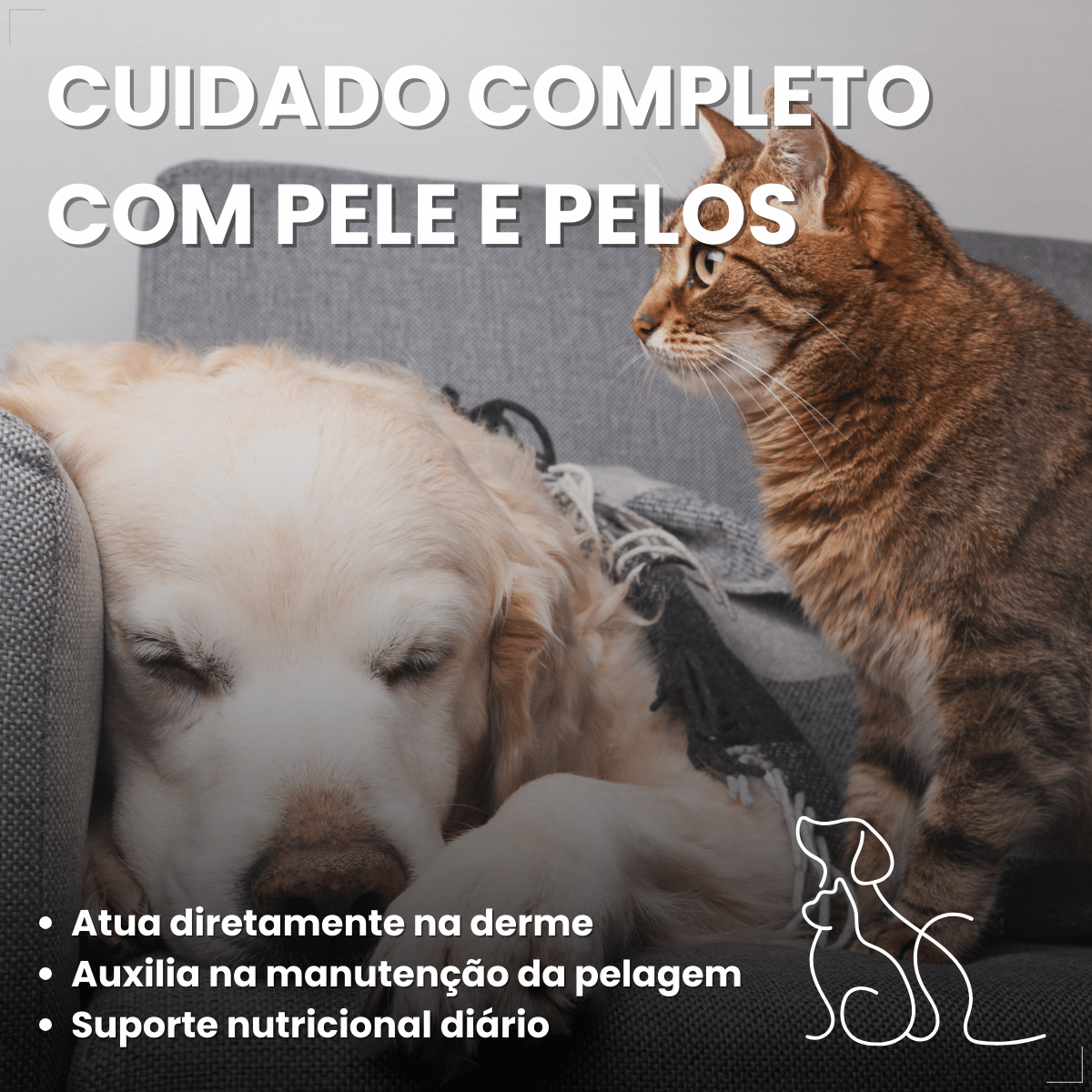 Suplemento Pelo e Derme 750 DHA + EPA Vetnil 30 Cápsulas