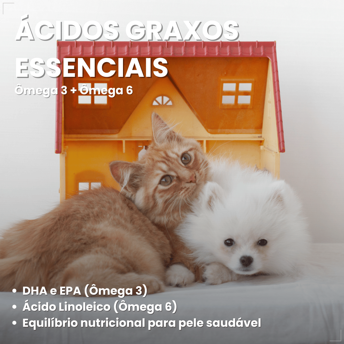 Suplemento Pelo e Derme 750 DHA + EPA Vetnil 30 Cápsulas