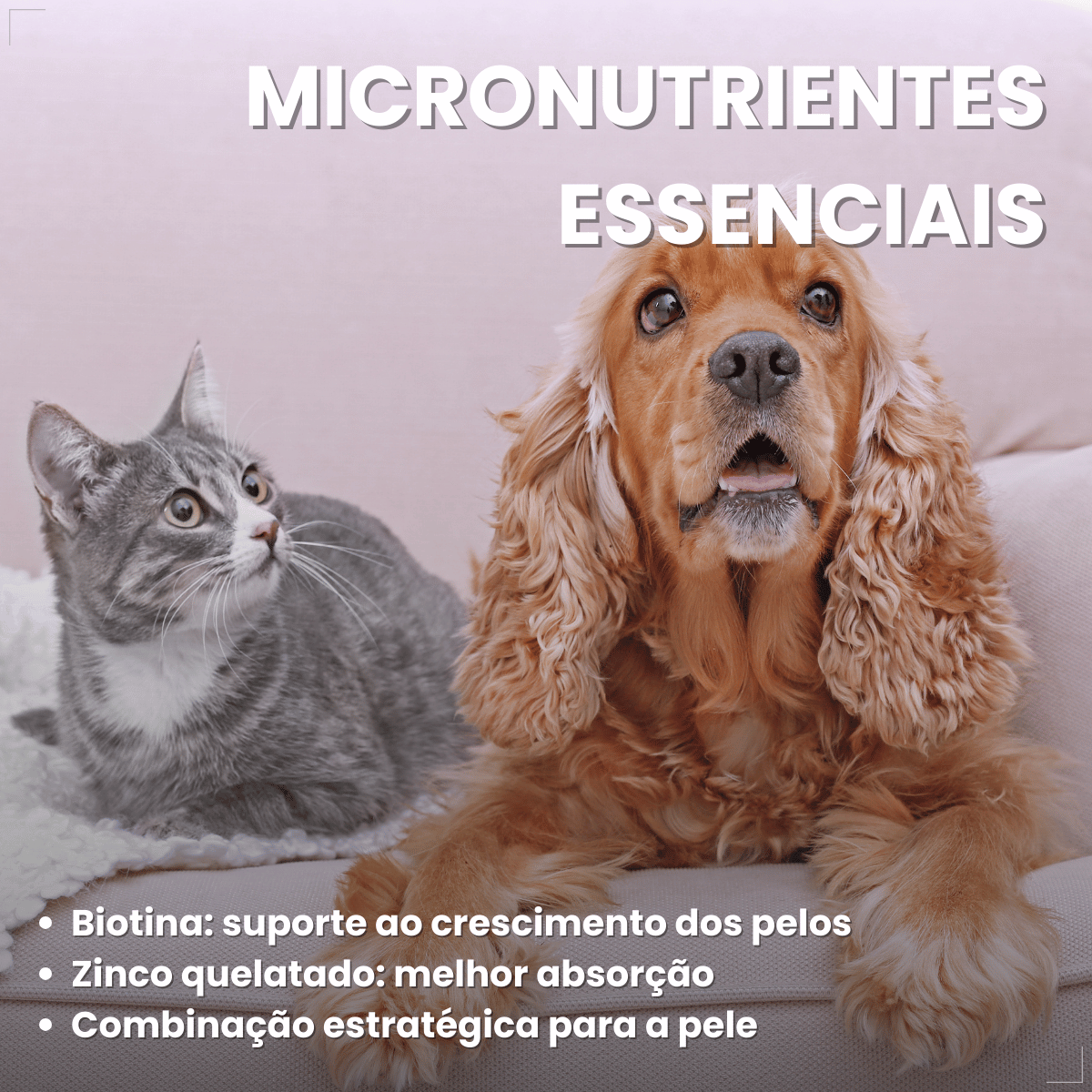 Suplemento Pelo e Derme 750 DHA + EPA Vetnil 30 Cápsulas