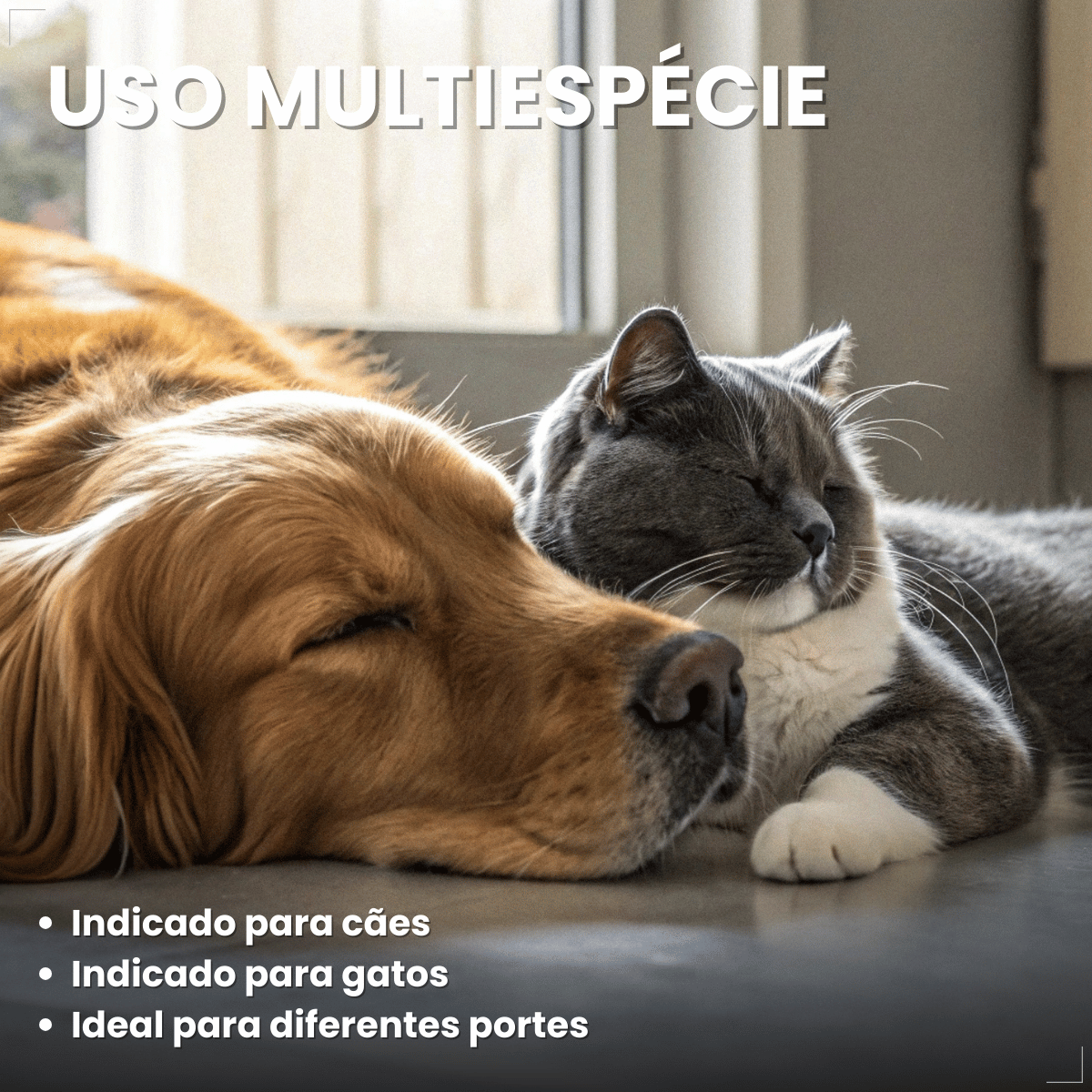 Suplemento Pelo e Derme 750 DHA + EPA Vetnil 30 Cápsulas