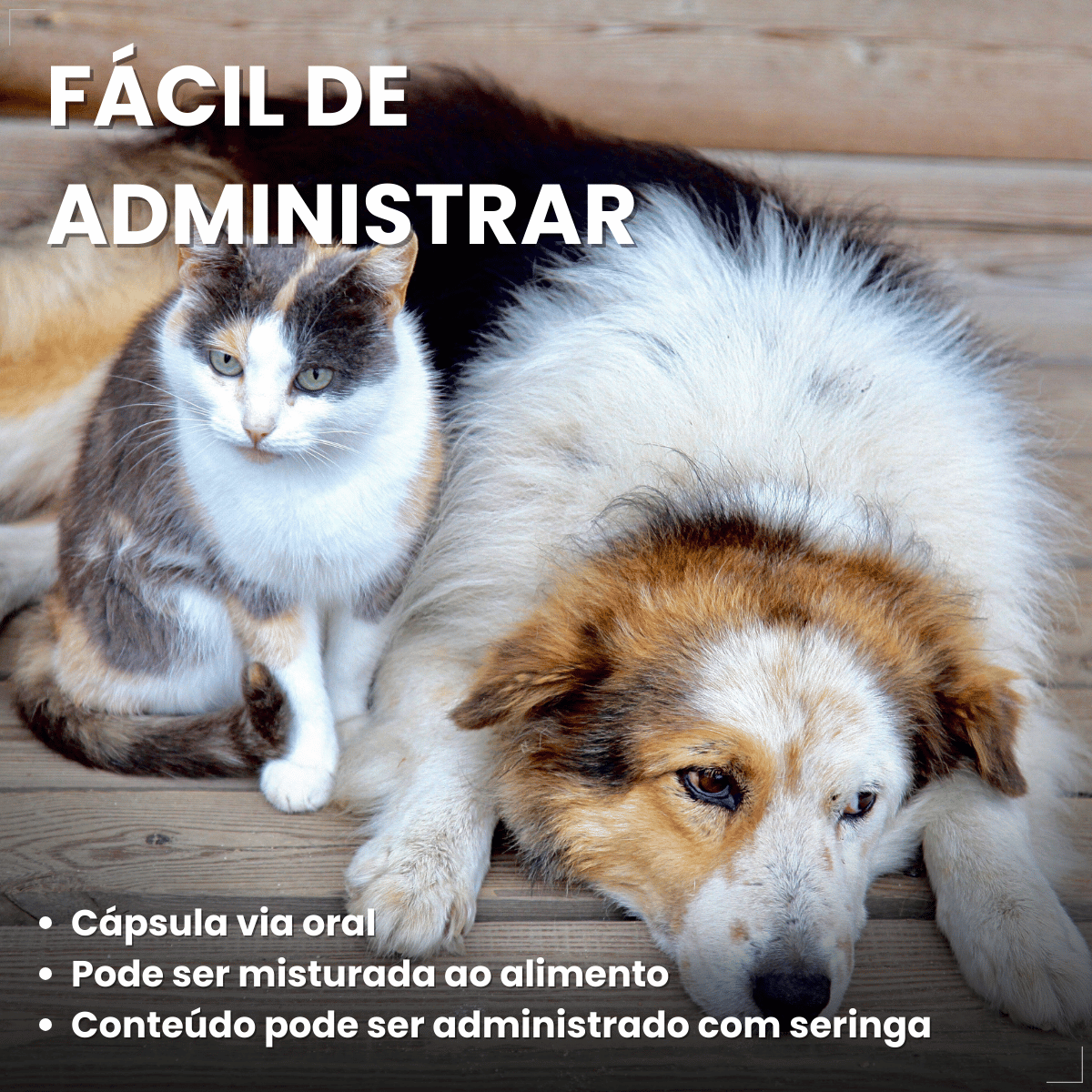 Suplemento Pelo e Derme 750 DHA + EPA Vetnil 30 Cápsulas