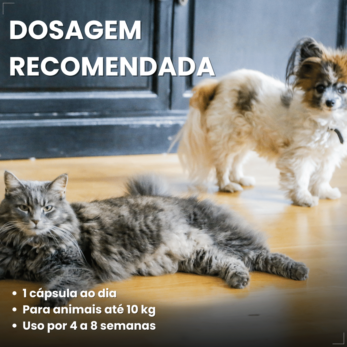 Suplemento Pelo e Derme 750 DHA + EPA Vetnil 30 Cápsulas