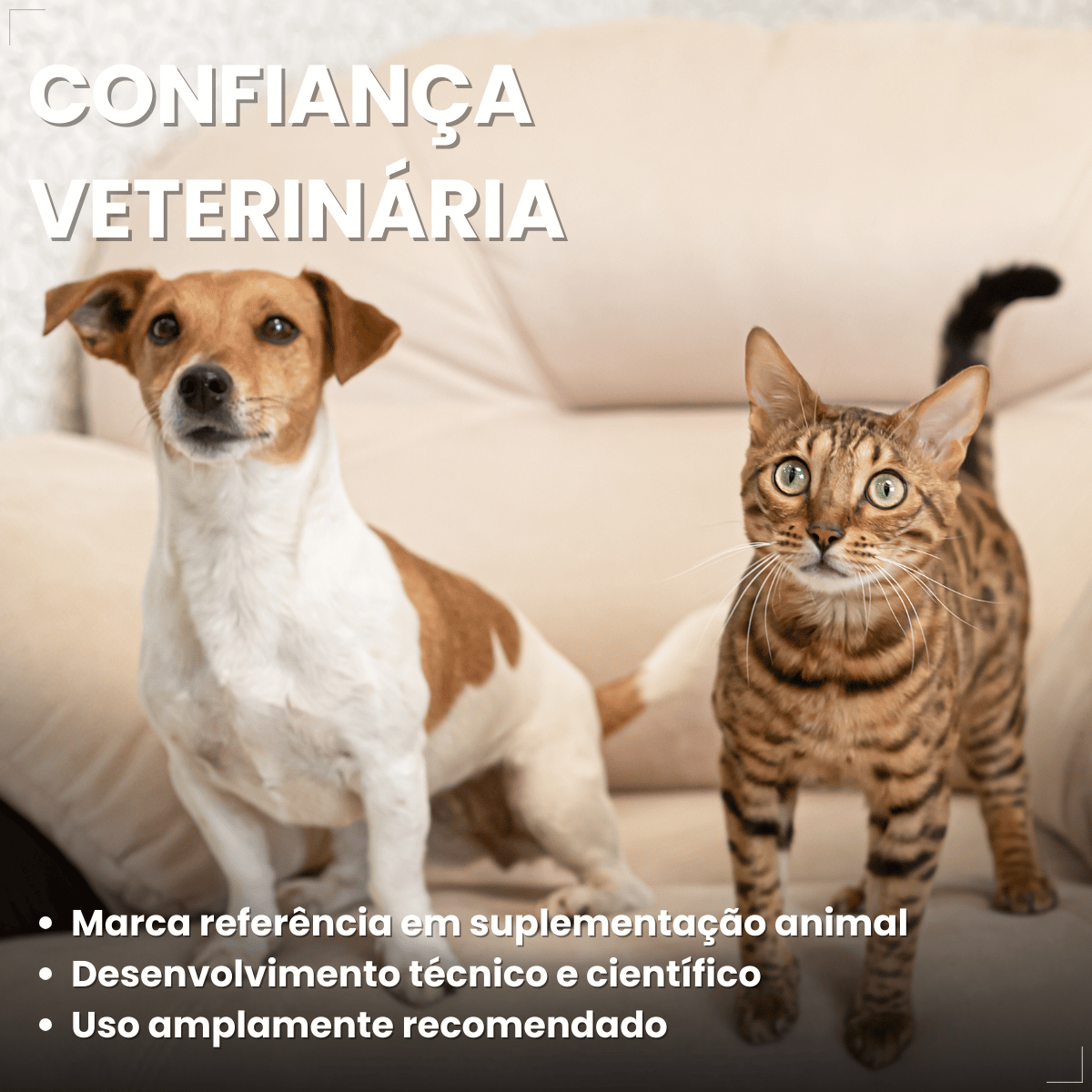 Suplemento Pelo e Derme 750 DHA + EPA Vetnil 30 Cápsulas