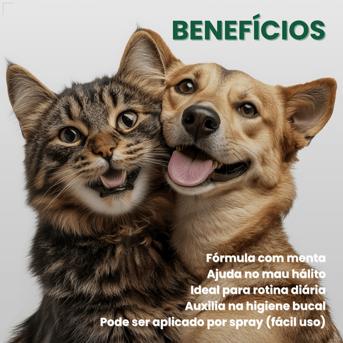 Spray Bucal Pet Vetnil Periovet 100ml hálito Menta cães gato
