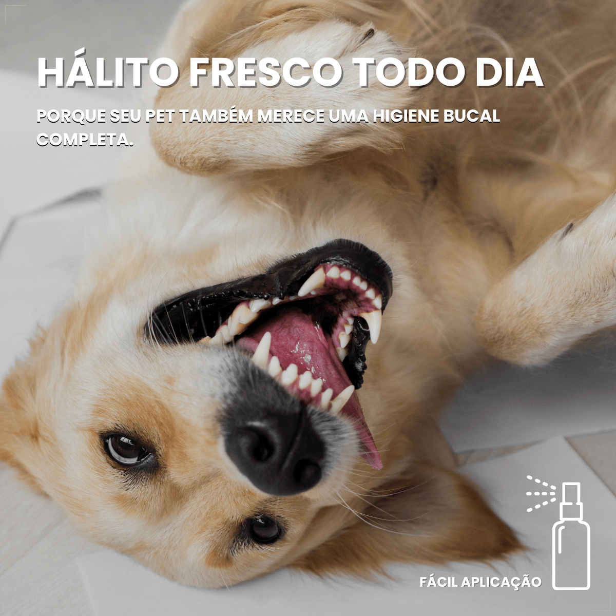 Spray Bucal Pet Vetnil Periovet 100ml hálito Menta cães gato