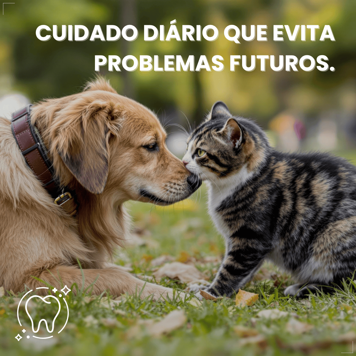 Spray Bucal Pet Vetnil Periovet 100ml hálito Menta cães gato