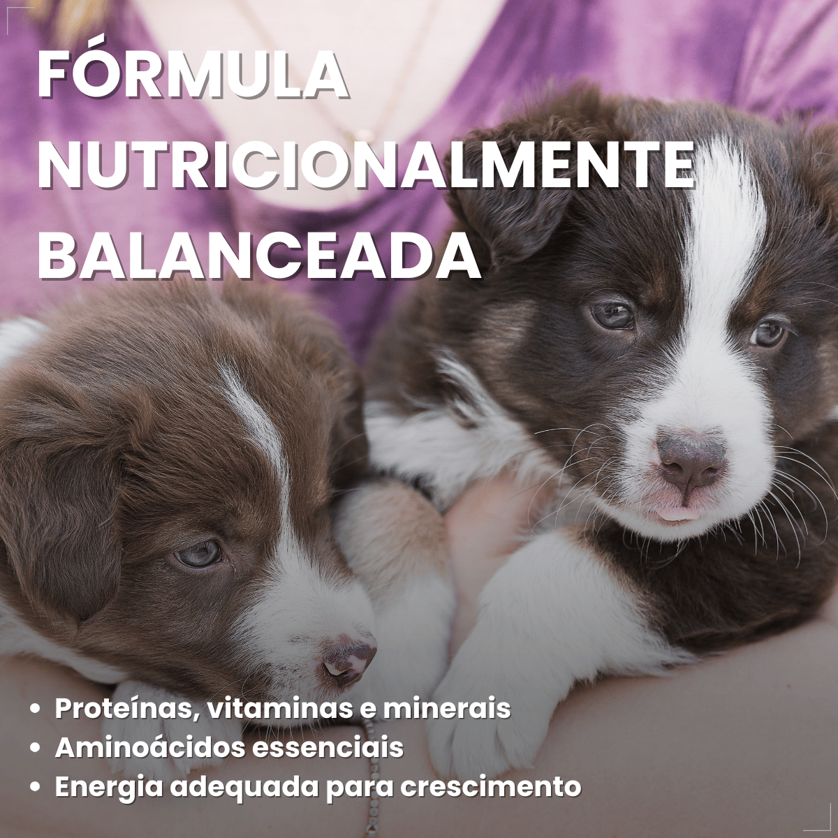 Pet Milk Substituto do leite materno para Cães e Gatos 300g