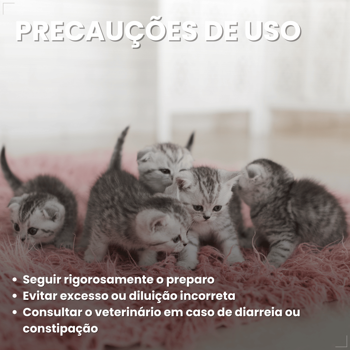 Pet Milk Substituto do leite materno para Cães e Gatos 100g