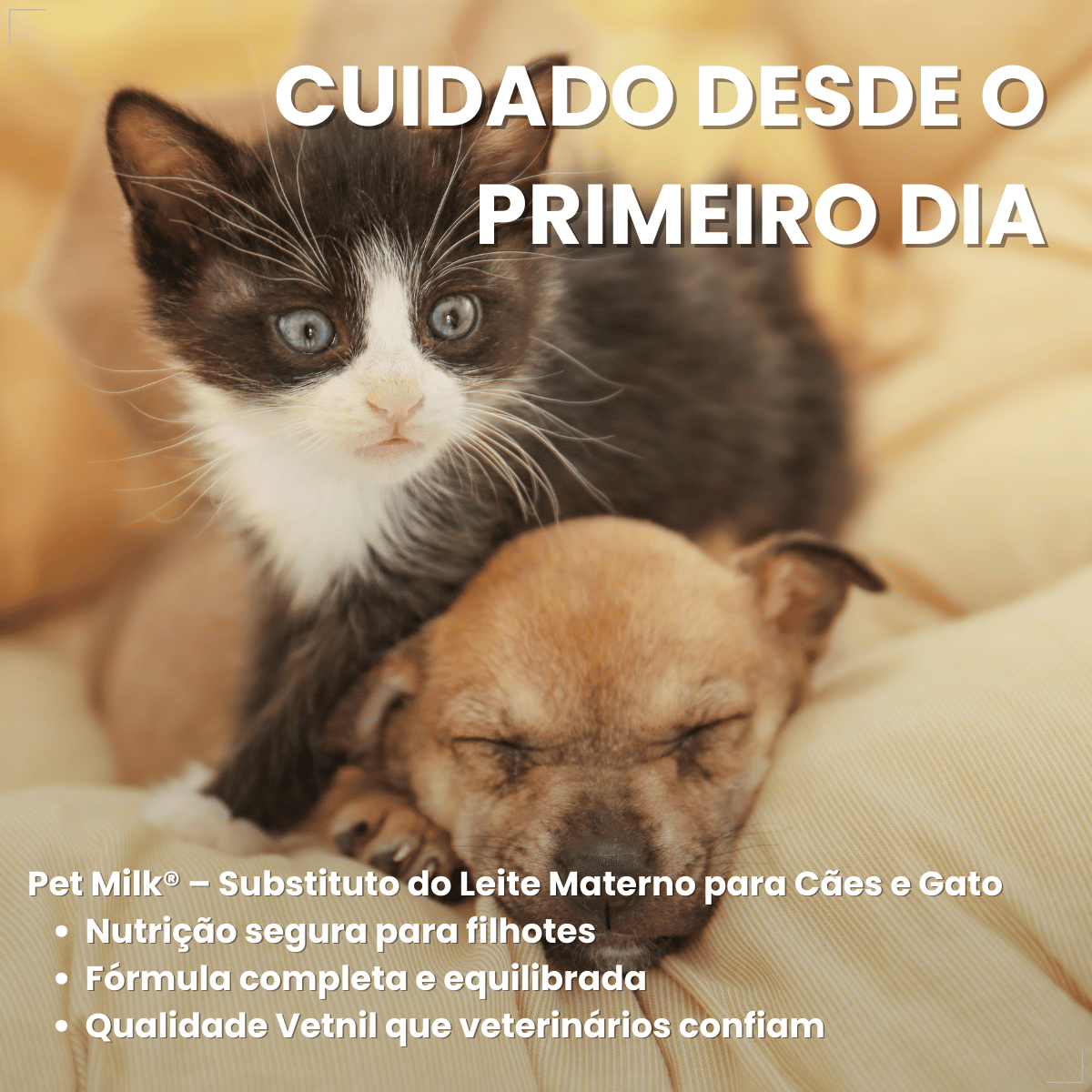 Pet Milk Substituto do leite materno para Cães e Gatos 100g