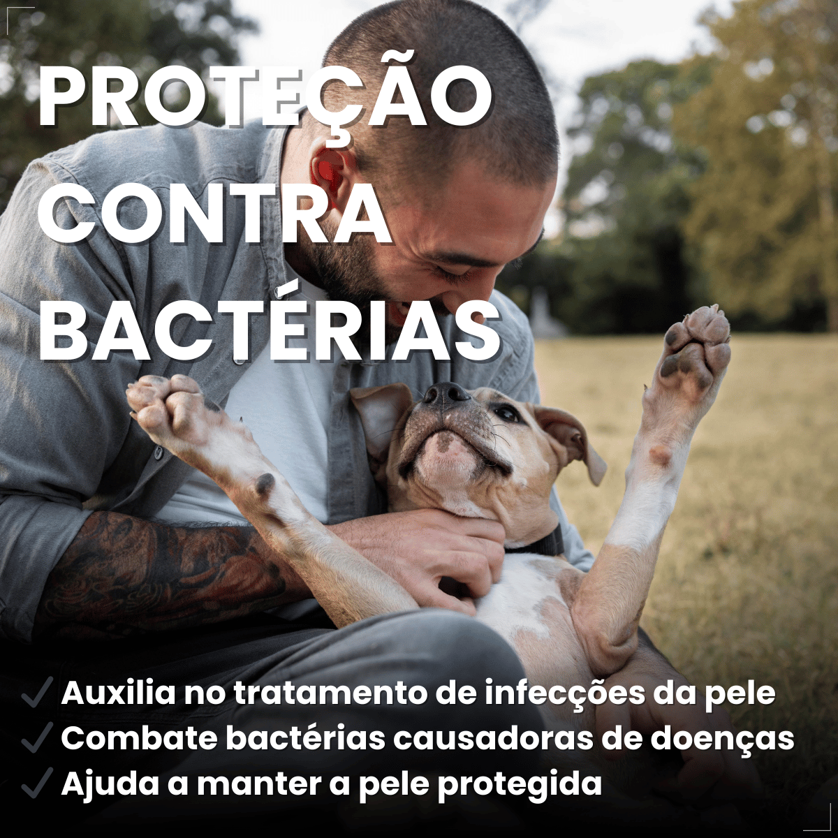 Pomada Cicatrizante Matacura Saralogo para Cães e Gatos 30 g