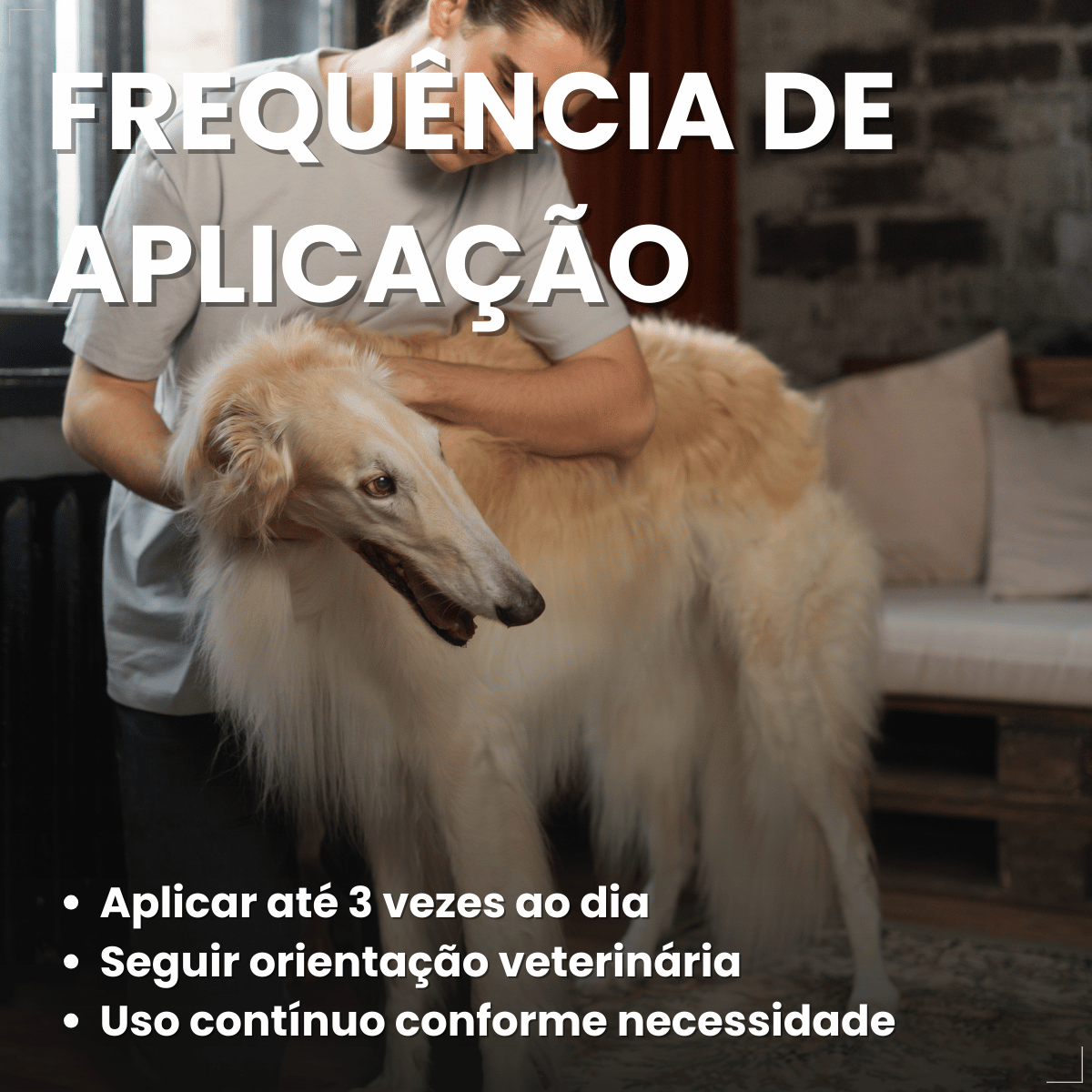 Pomada Cicatrizante Matacura Saralogo para Cães e Gatos 30 g