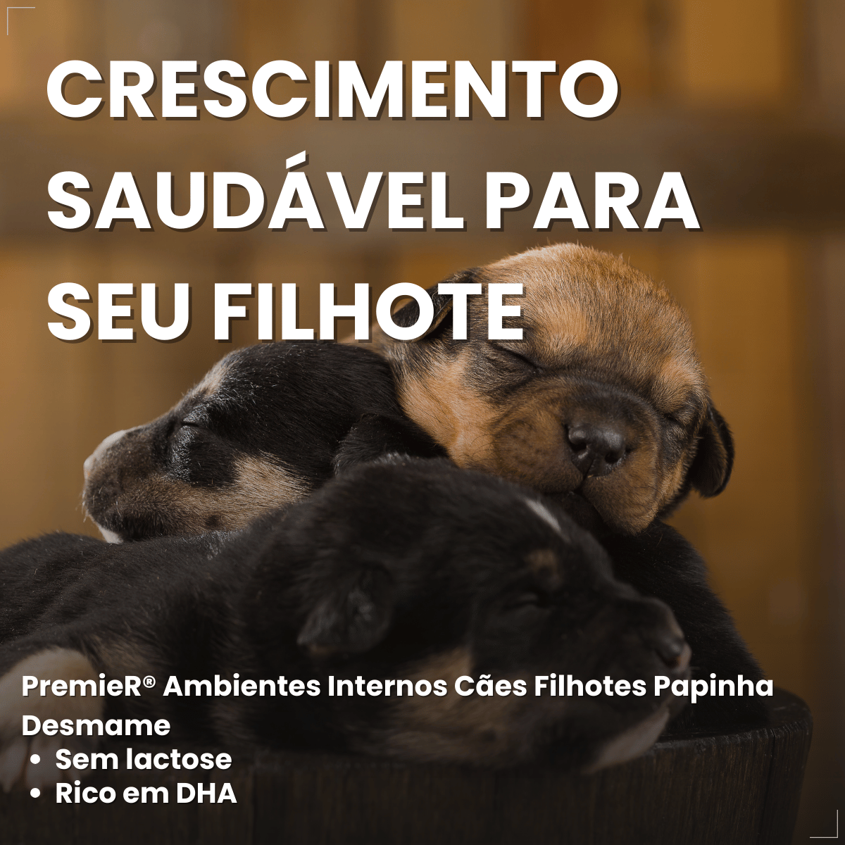 PremieR Ambientes Internos Papinha Desmame para Cães Filhotes 1 kg