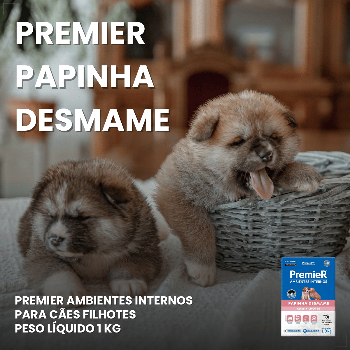 PremieR Ambientes Internos Papinha Desmame para Cães Filhotes 1 kg
