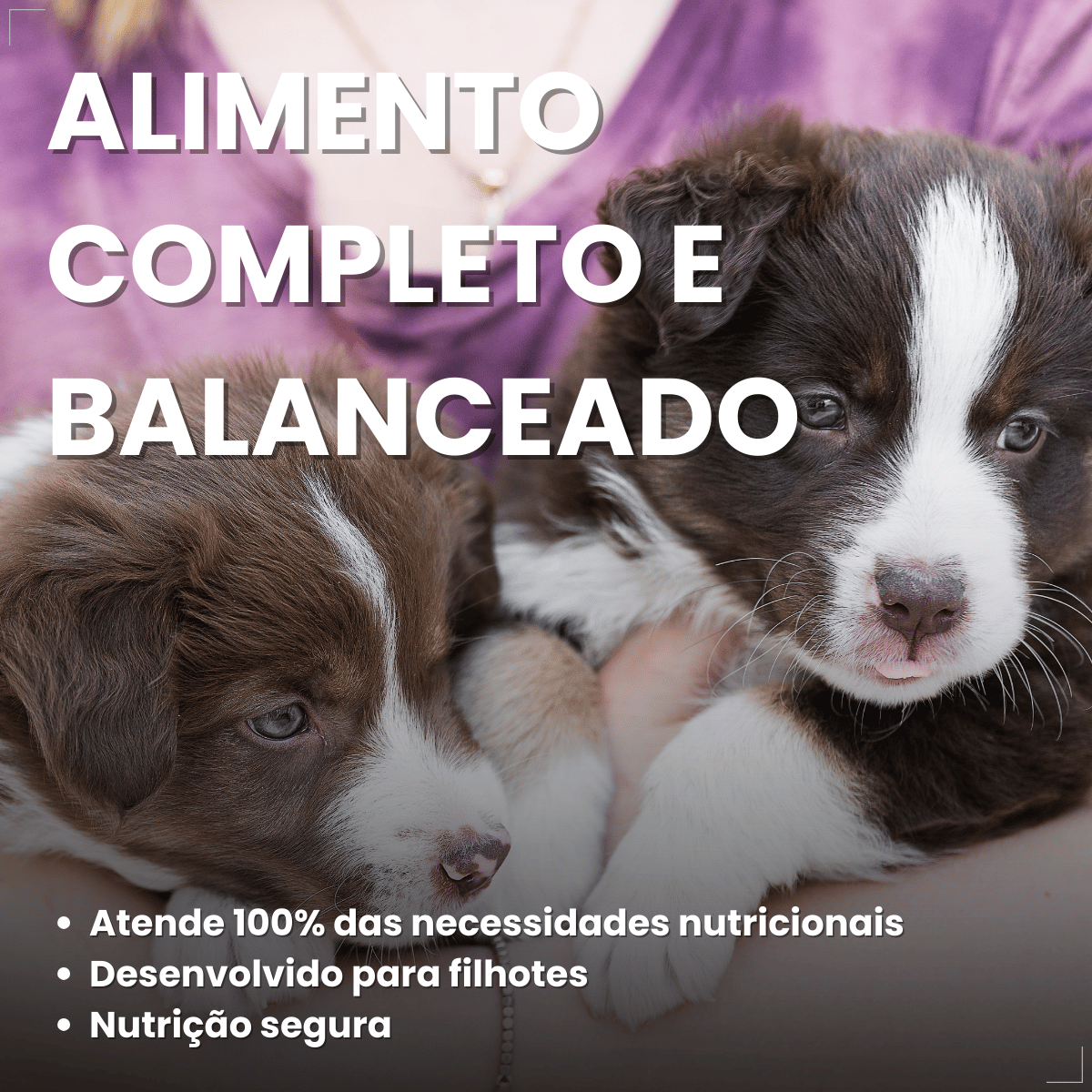 PremieR Ambientes Internos Papinha Desmame para Cães Filhotes 1 kg